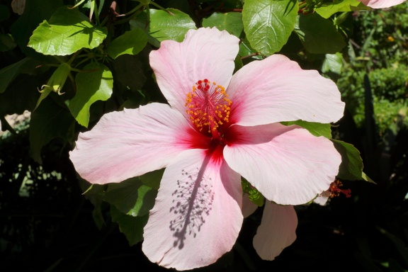 DSC03705